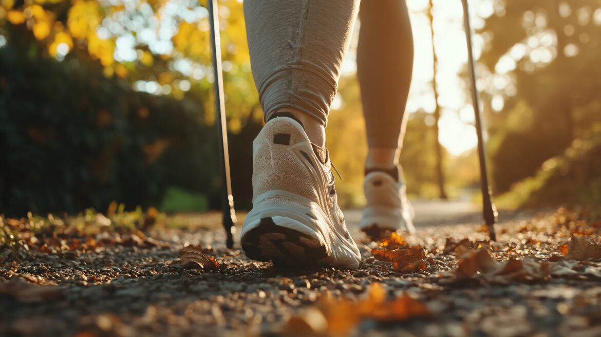 What happens to Body when you Walk everyday?